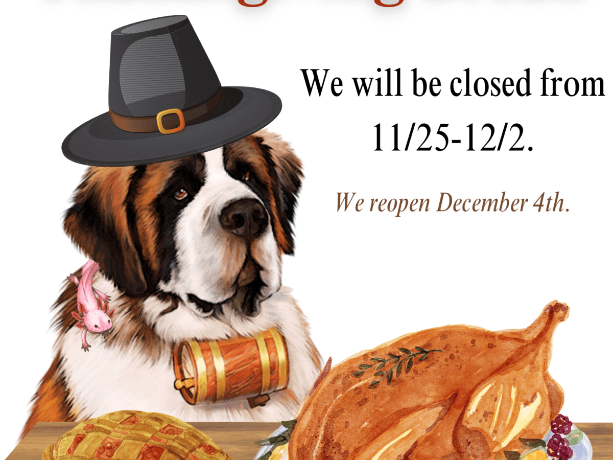 Thanksgiving Break 2024